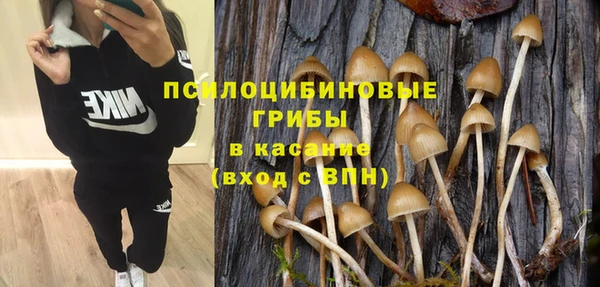 СК Покачи