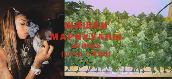 СК Покачи