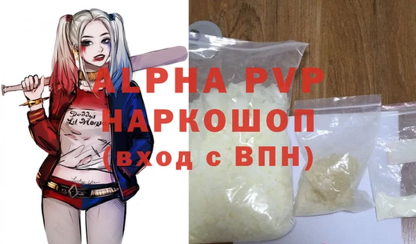 СК Покачи