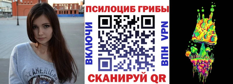 где купить наркоту  Славгород  Псилоцибиновые грибы мицелий 