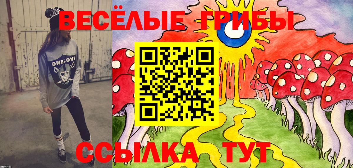 Славгород  Псилоцибиновые грибы прущие грибы  Вход с VPN  Псилоцибиновые грибы GOLDEN TEACHER 